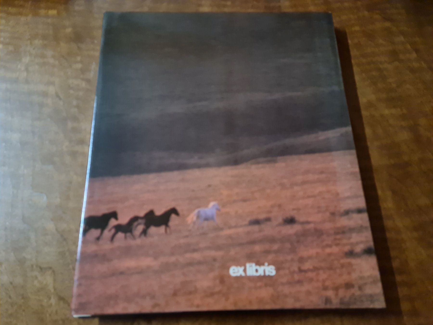 Libri: Die letzten Wildpferde – Usato da Erstfeld venduto da Mario_boe0 4