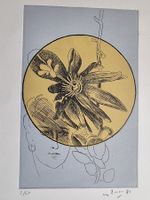 RADIERUNG UNLESERLICH SIGNIERTNUMMERIERT BLATT 2/60