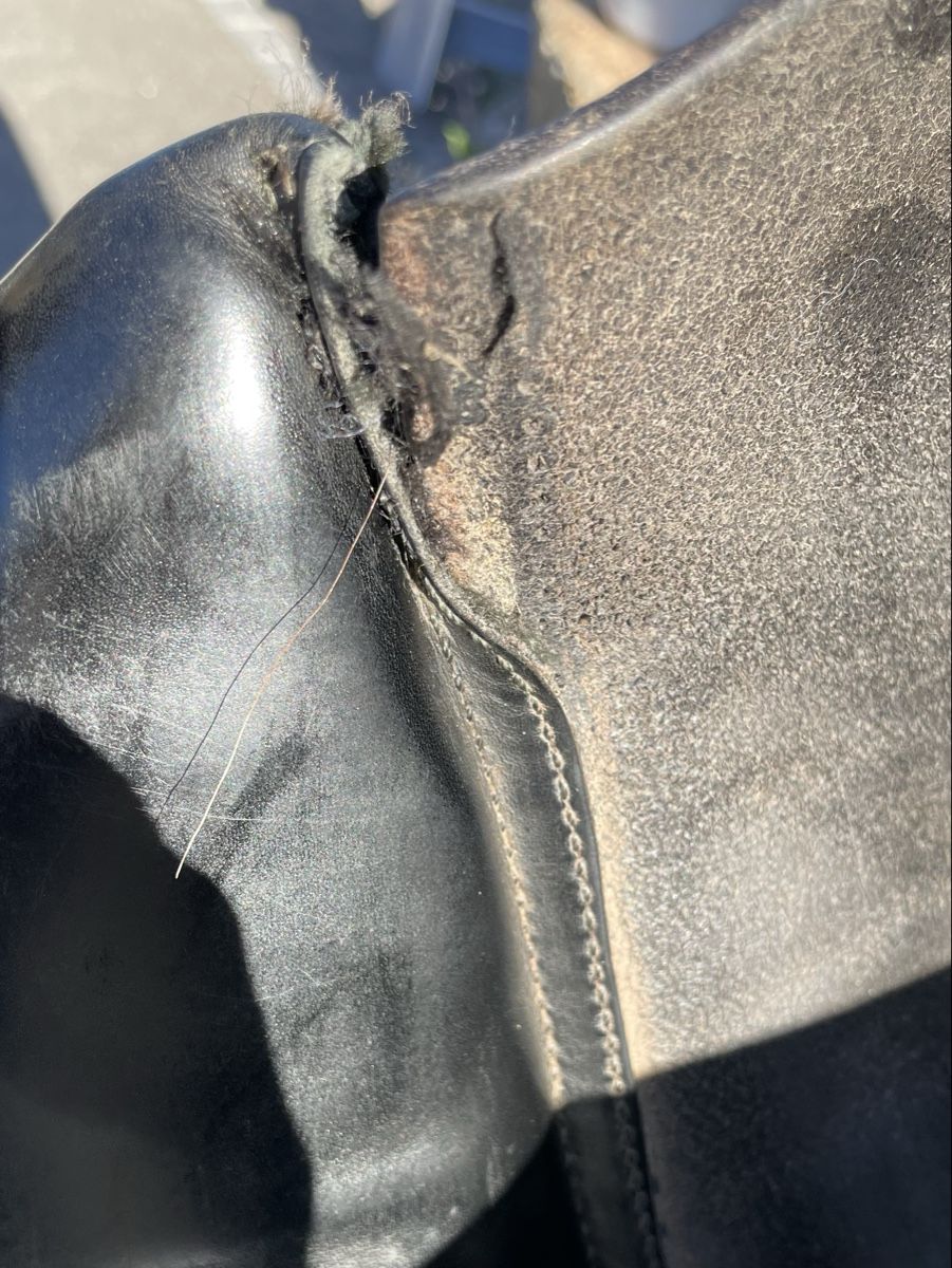 Sattel & Sattelzubehör: Greenfield Saddlery – Gebraucht aus Ueken von Kamel09 3