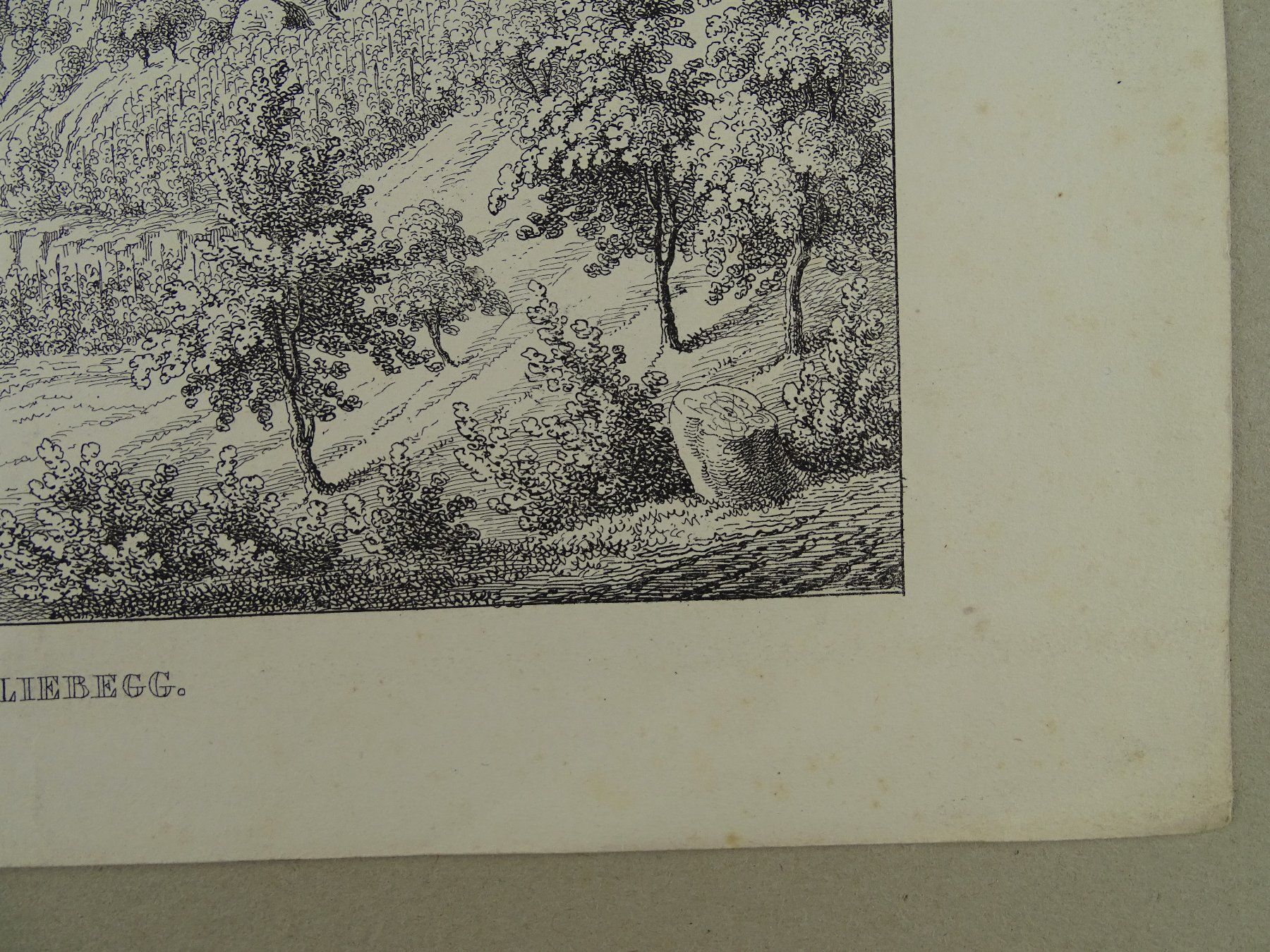 Incisioni: LIEBEGG, AARGAU, FEDERLITHOGRAPHIE 1840 – Usato da Grüningen venduto da Kartensammler 3