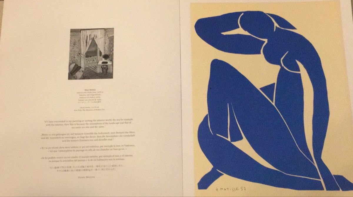 Libri: Portfolio Henri Matisse – Usato da Moutier venduto da Happyvidedressing 4