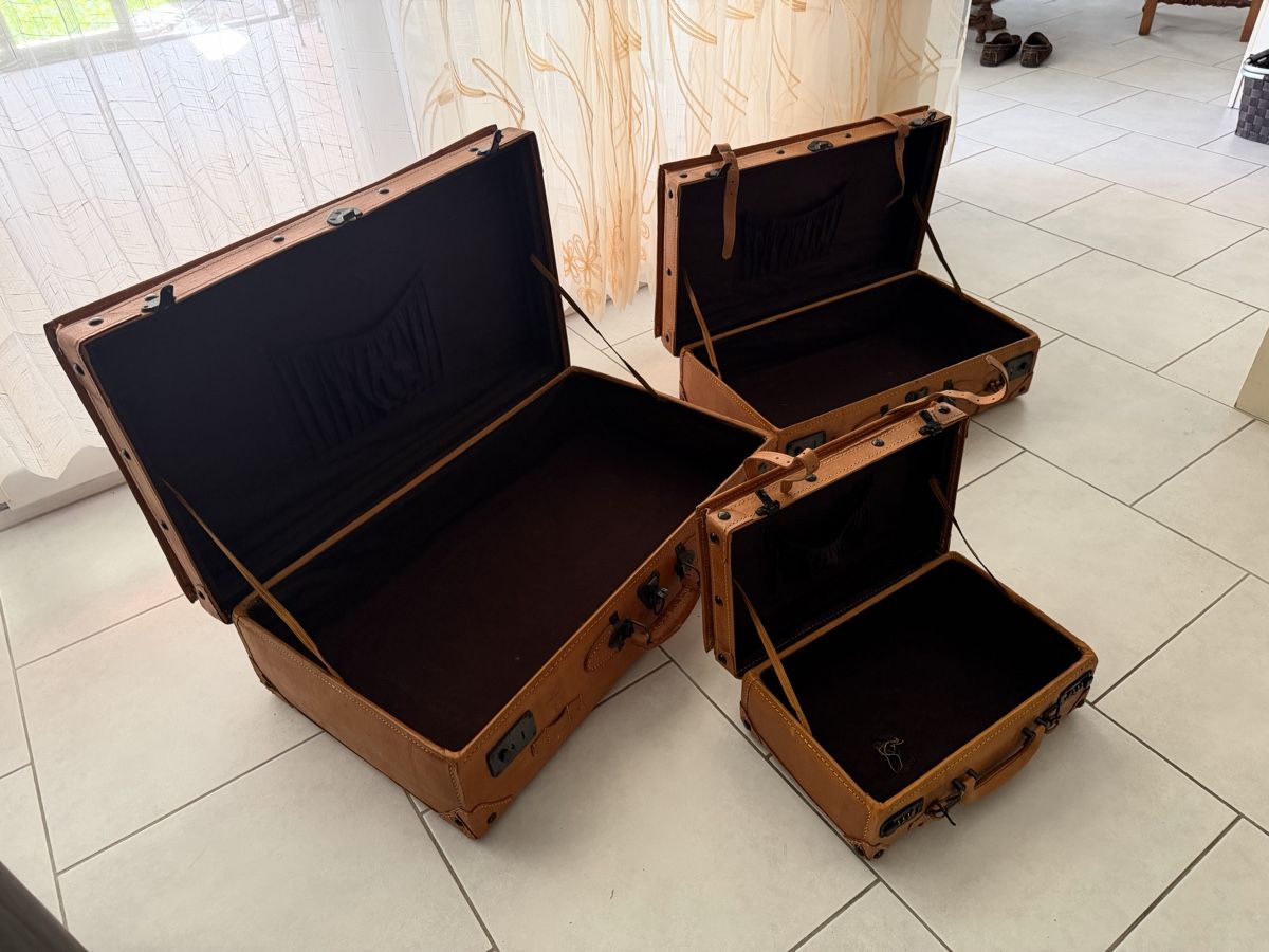 Valigie: Vintage Reisekoffer aus Leder  – Usato da Unterentfelden venduto da Us1502