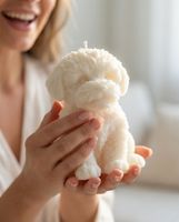 Hund Kerze weiss Hundefigur Deko NEU
(40 characters)
