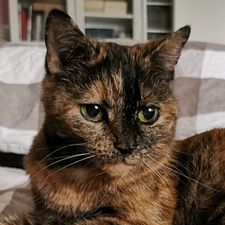Profile image of hol_9nkc
