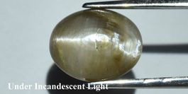 3,66 ct Opale œil-de-chat naturelle