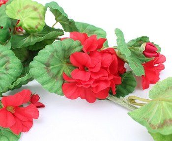 Tutte le decorazioni: Geranium rot – Nuovo (secondo la descrizione) da Schlatt TG venduto da kreativ-atelier 1