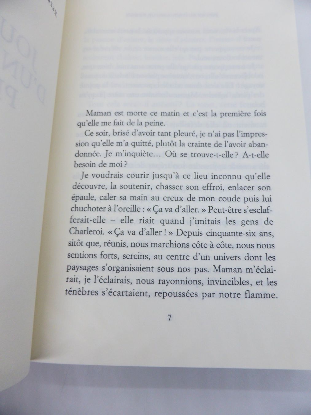 Livres: Eric-Emmanuel Schmitt - Journal d'un amour perdu - 2019 – D'occasion à Porrentruy par Kim017 3