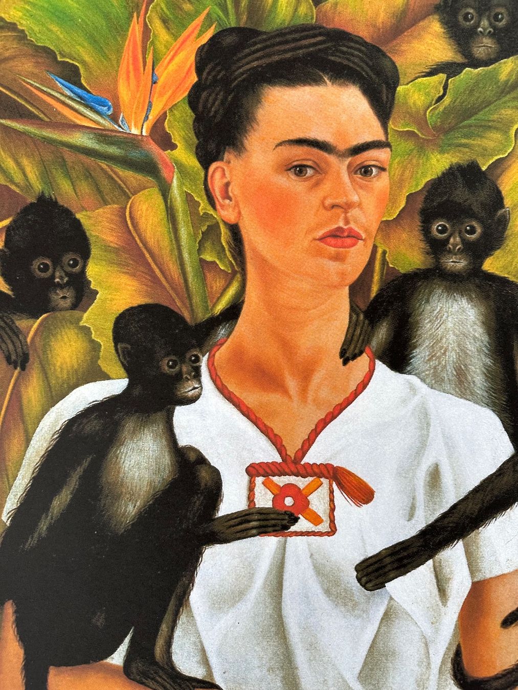 Poster & Bilder: Frida Kahlo: Self Portrait with Monkeys – Neu (gemäss Beschreibung) aus Meilen von  5