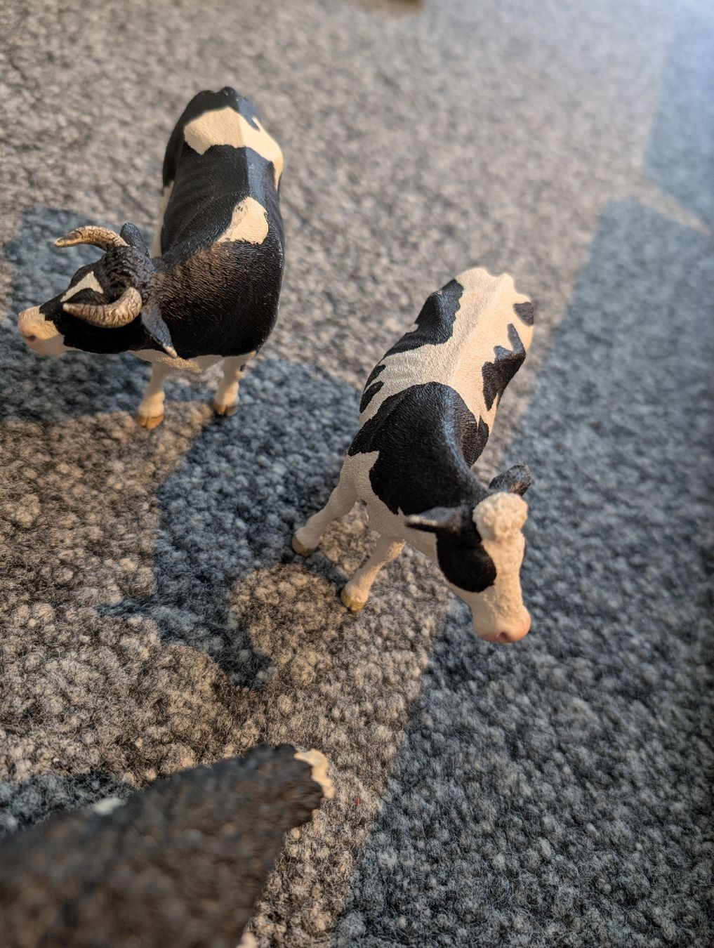 Schleich Spielzeuge: 6 Schleich Tiere – Gebraucht aus Hofstetten SO von Xaver23 1