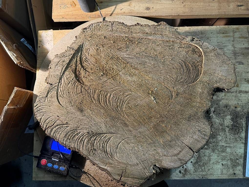 Articoli in legno: Olivenholz Baumscheibe G4 – Usato da Buus venduto da macipioji 1