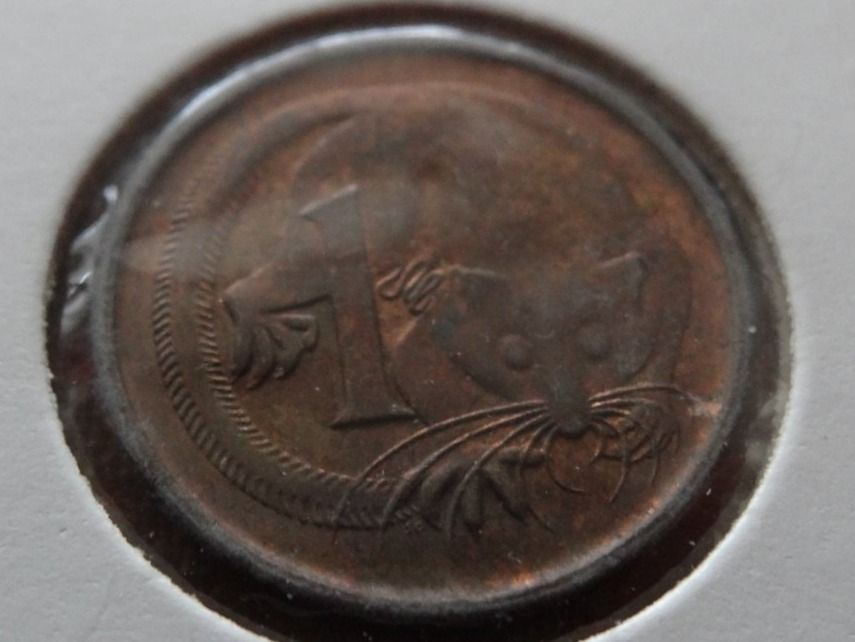 Toutes les monnaies: AUSTRALIA  1 Cent  1981 – D'occasion à Romanel-sur-Lausanne par Swift13 1