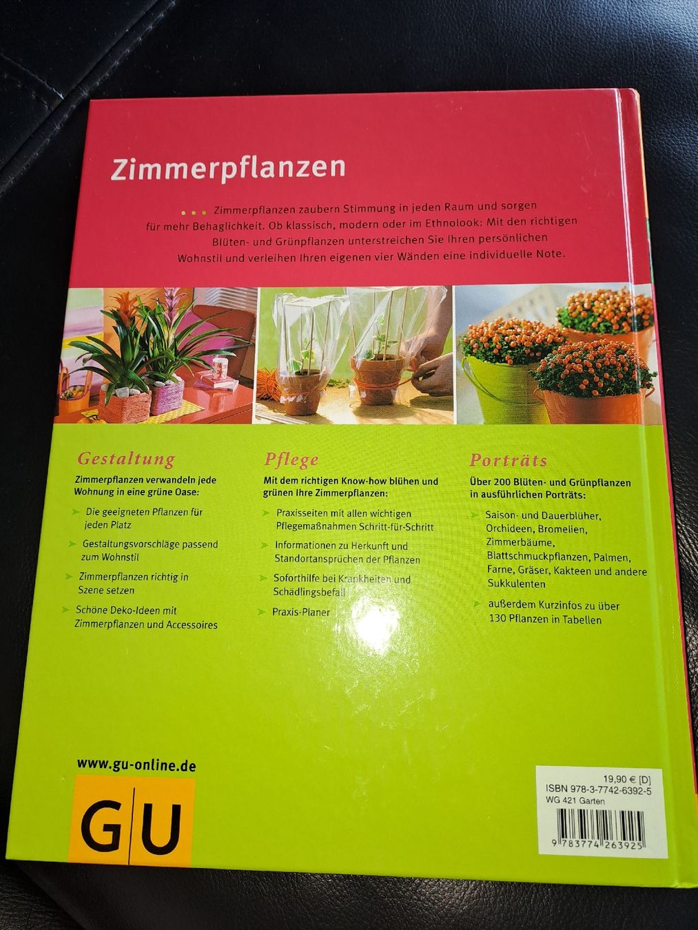 Livres: Buch Zimmerpflanzen – D'occasion à Osogna par stella086 1