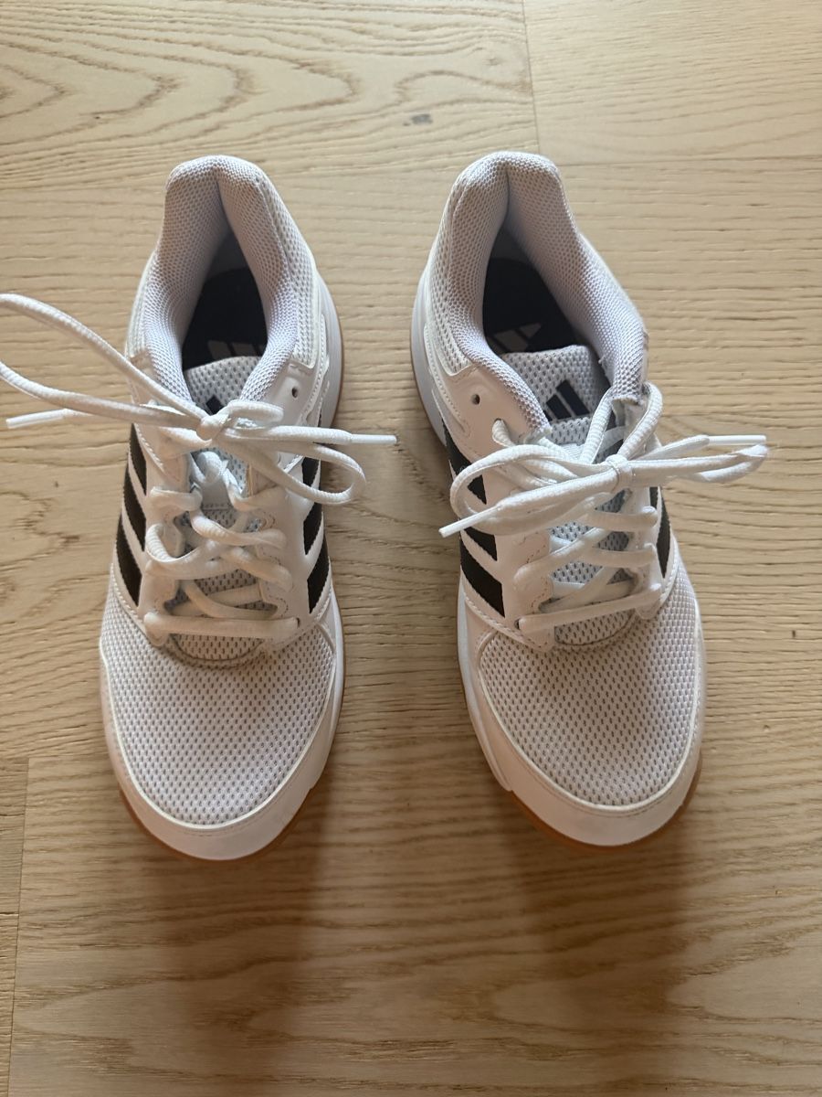 Adidas Scarpe da uomo: Adidas Hallenschuhe  – Usato da St. Gallen venduto da LadinaMariaZ 1