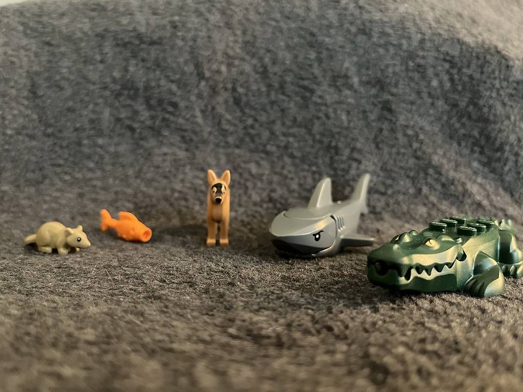 Spielzeuge: Lego verschiedene Tiere | 5 Stk. – Gebraucht aus Oftringen von ric_l2mv