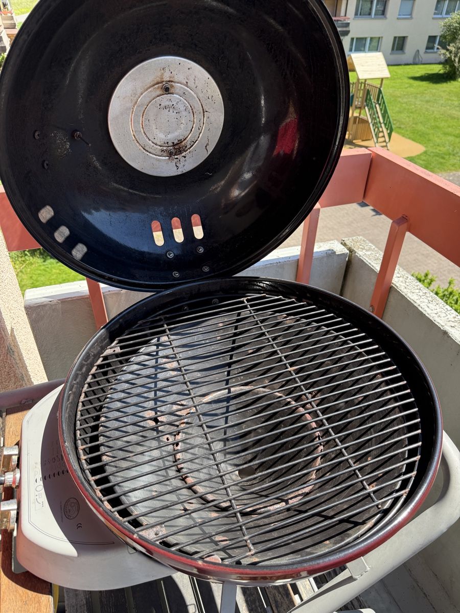 Grills: European Outdoorchef – Gebraucht aus Horn von Hailey00 2