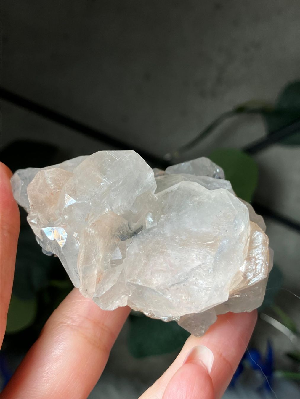Mineralien & Heilsteine: Apophyllit mit Stilbit – Neu (gemäss Beschreibung) aus Neuheim von m.hald 3