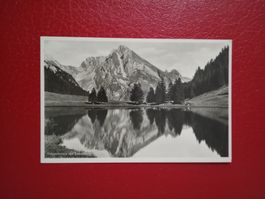 Gräppelensee AI mit Schafberg s/w Karte