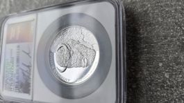 American Buffalo High Relief 1 oz Silver PF70 NGC