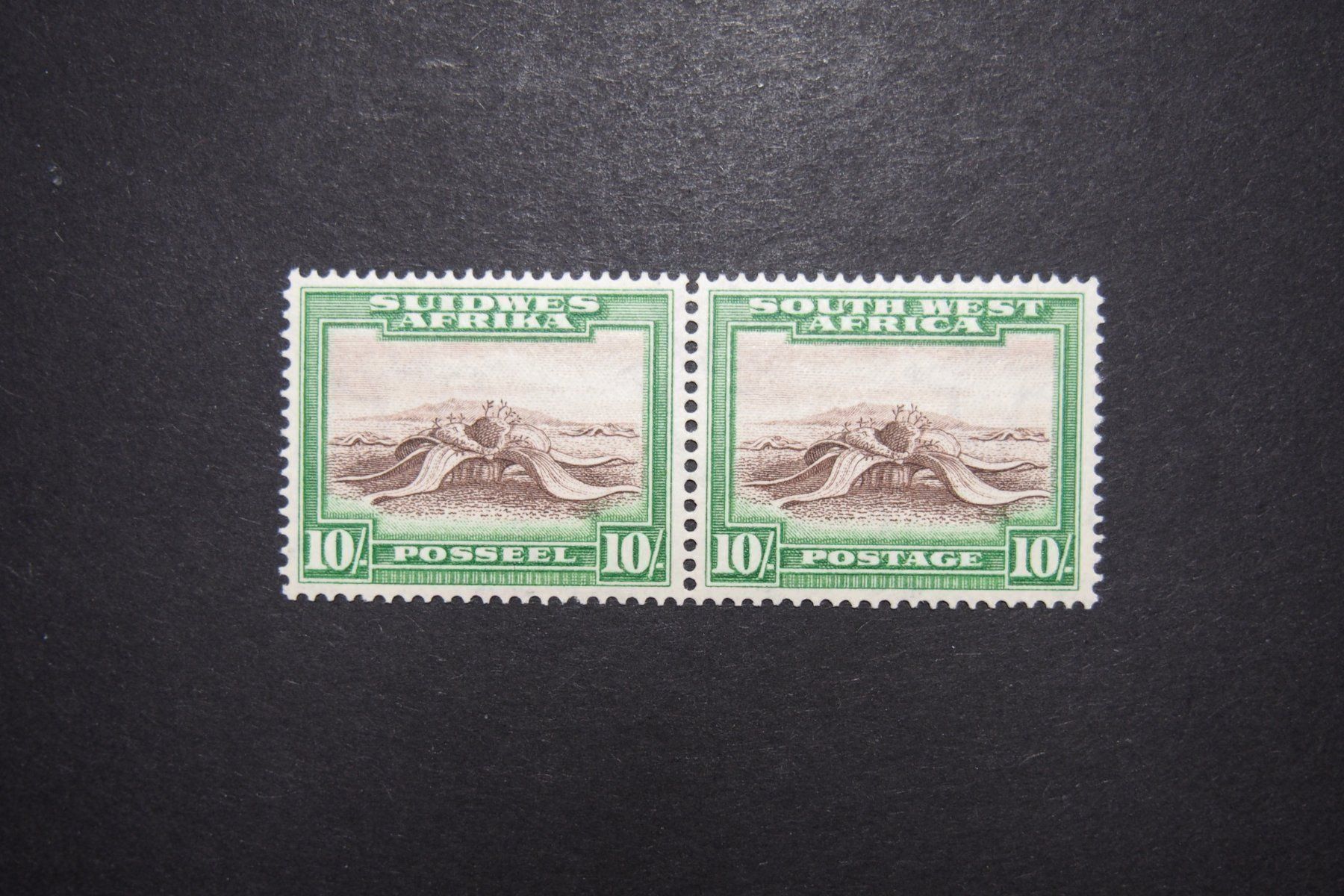 Tutti i francobolli: 1931 MiNr. 160/161 Südwestafrika – Usato da Solothurn venduto da and_fxw5
