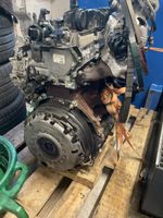 Motor Ford Transit Custom 2.0 Tdci frisch revidiert