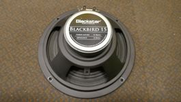 Blackstar Blackbird 15 Lautsprecher