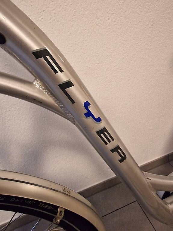 Flyer Biciclette: Top Flyer E-Bike – Usato da Derendingen venduto da Vanja89 3