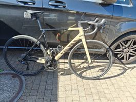 Ultimate CF SL 7 Grösse L