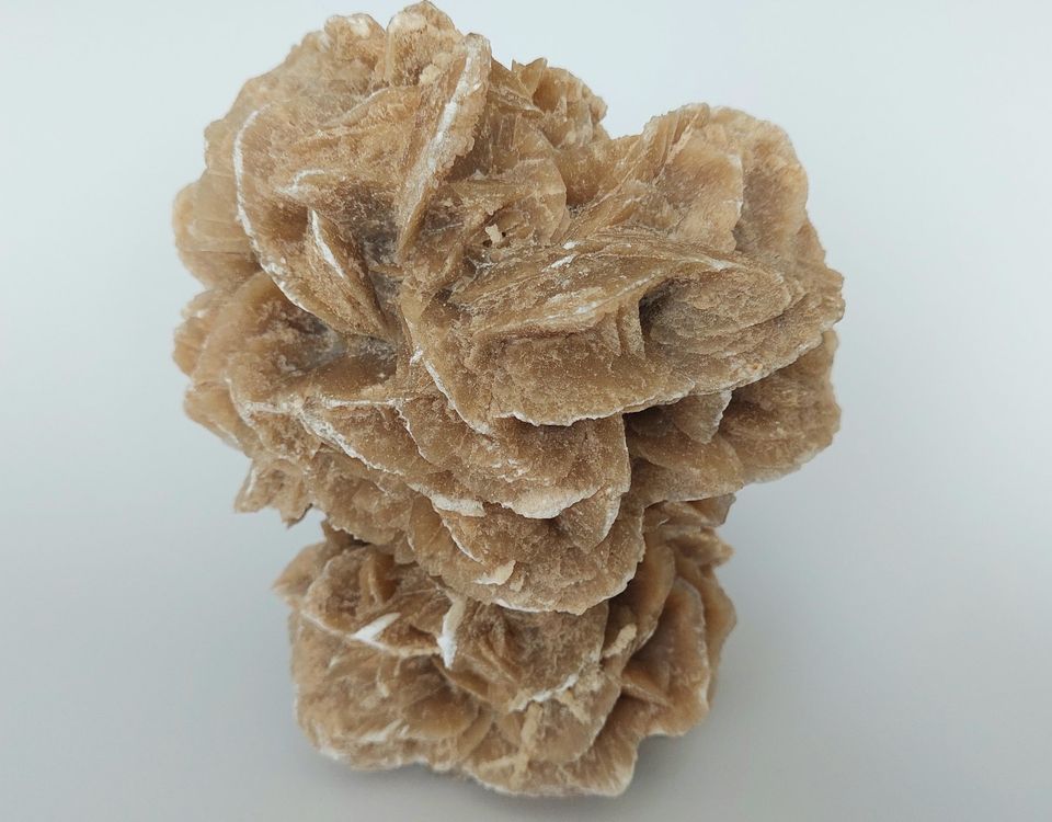 Sandrose Kaufen auf Ricardo