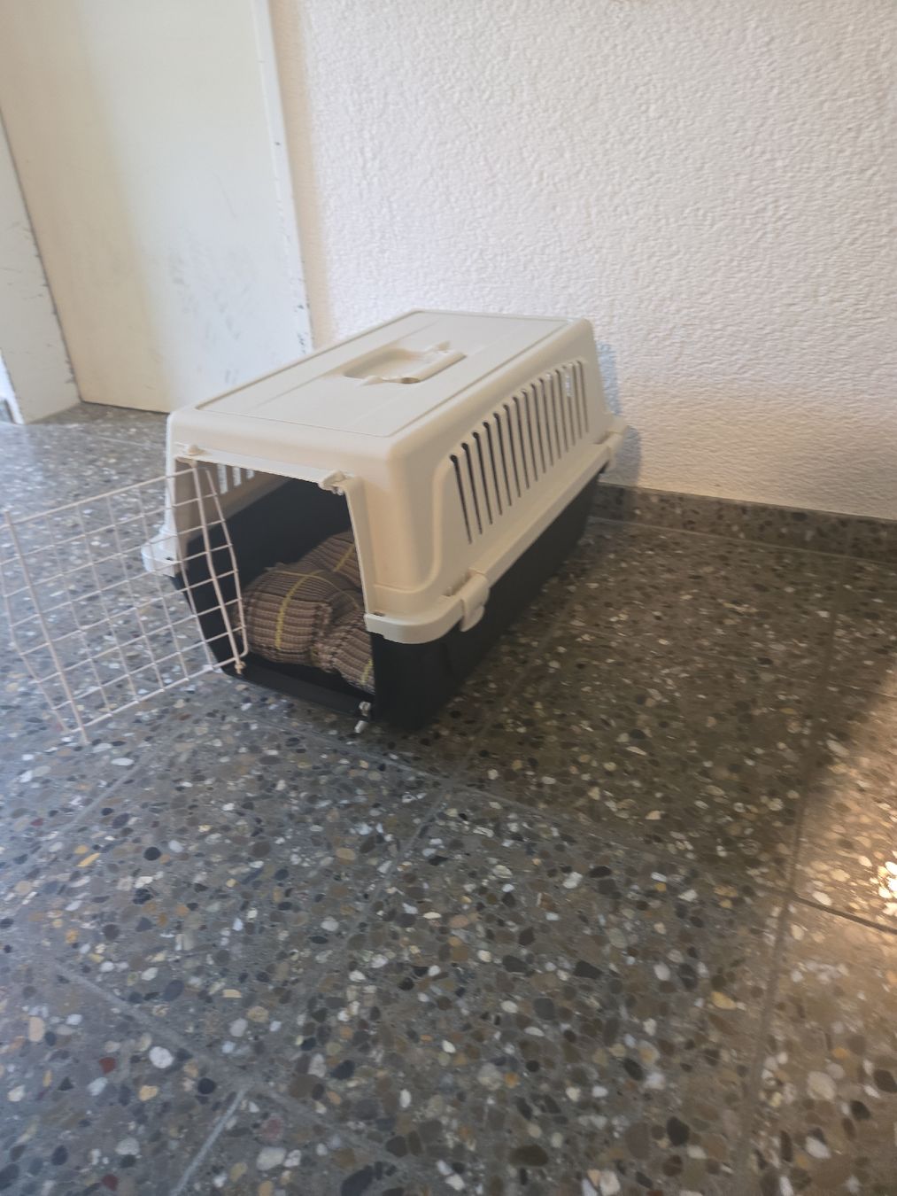 Käfige, Transport & Sicherheit: Transportbox für Katzen – Gebraucht aus Studen BE von wellingtonrueesch 1