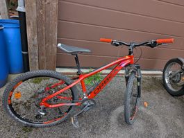 Mountainbike Orbea MX26