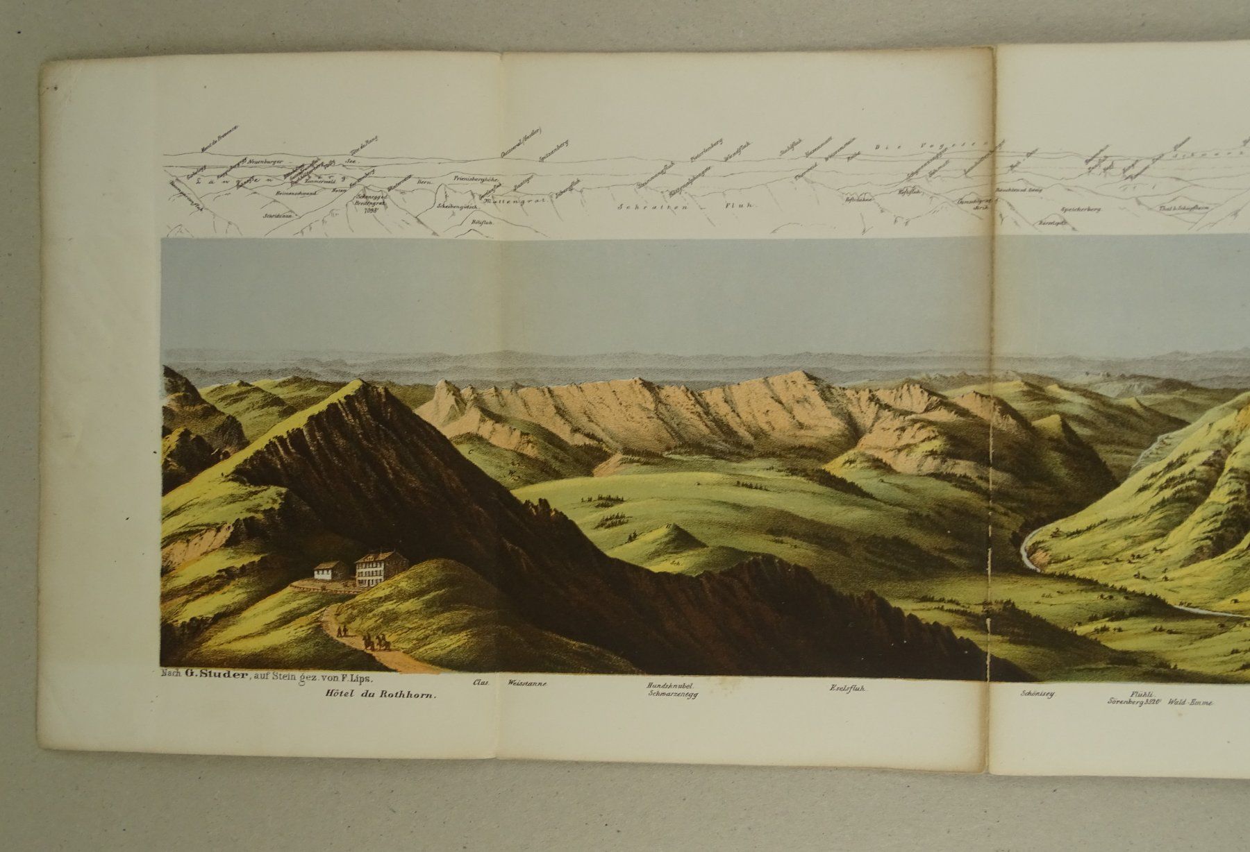 Libri: PANORAMA VOM BRIENZER-ROTHORN – Usato da Grüningen venduto da Kartensammler