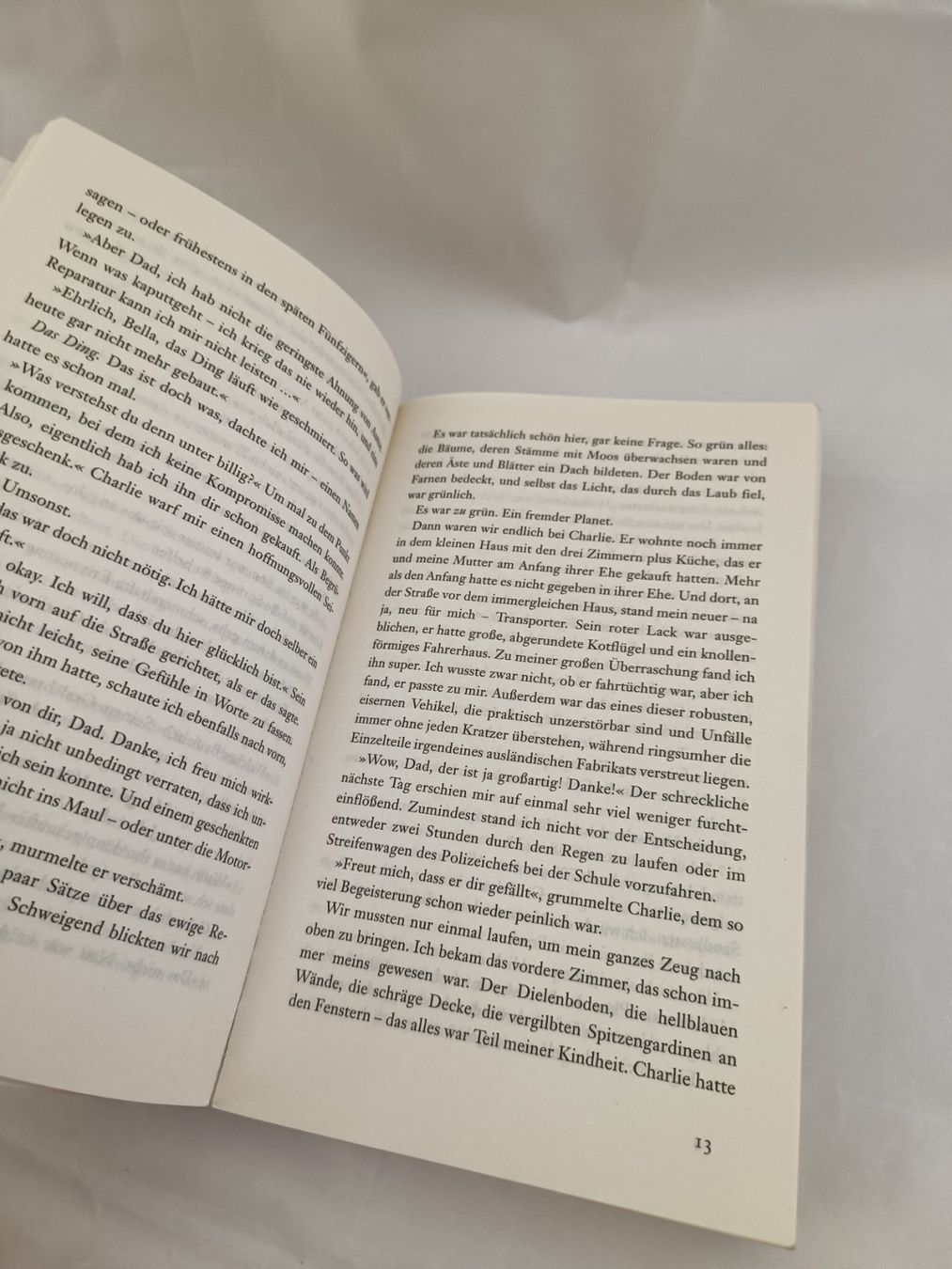 Libri: Buch Stephenie Meyer: Biss zum Morgengrauen – Usato da Oberhofen Thun'see venduto da cri_6md2 4