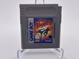 GB - Raging Fighter