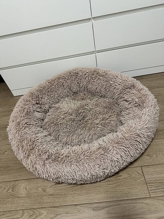 Liege- & Schlafplätze: Cuccia cane – Neu (gemäss Beschreibung) aus Rivera von Giada18 1