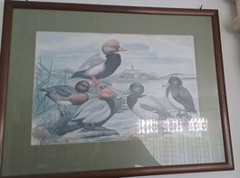 Gerahmtes Bild Entenmotiv Breite 44cm H 60cm