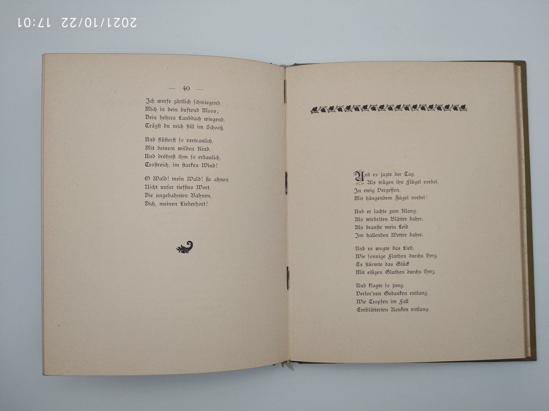 Libri: SYLVA - HEIMATH - 1891 EA – Usato da Goldach venduto da Gaip 4