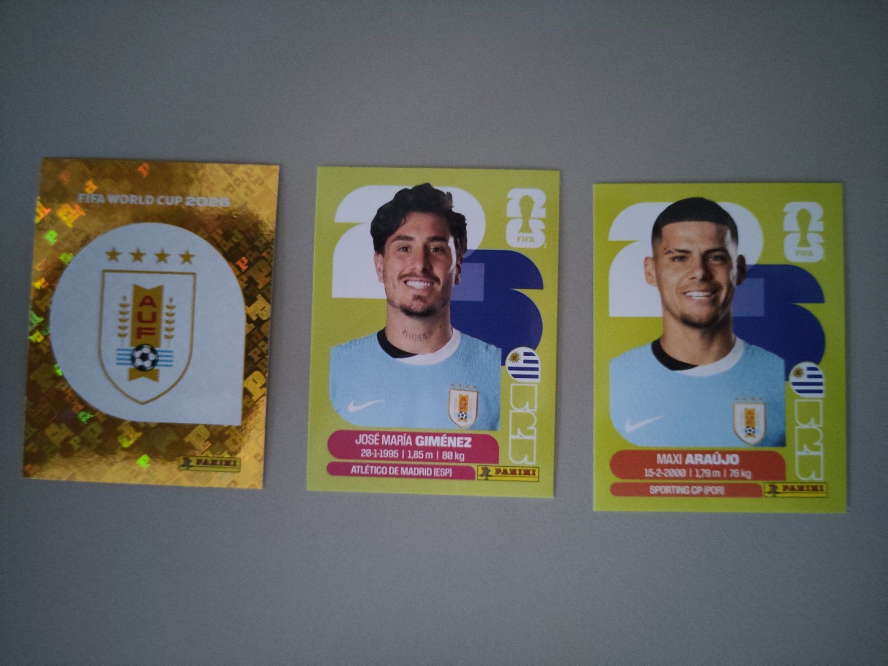 Panini Carte collezionabili: FIFA Panini Uruguay (URU) – Usato da Bern venduto da gil_rkx8