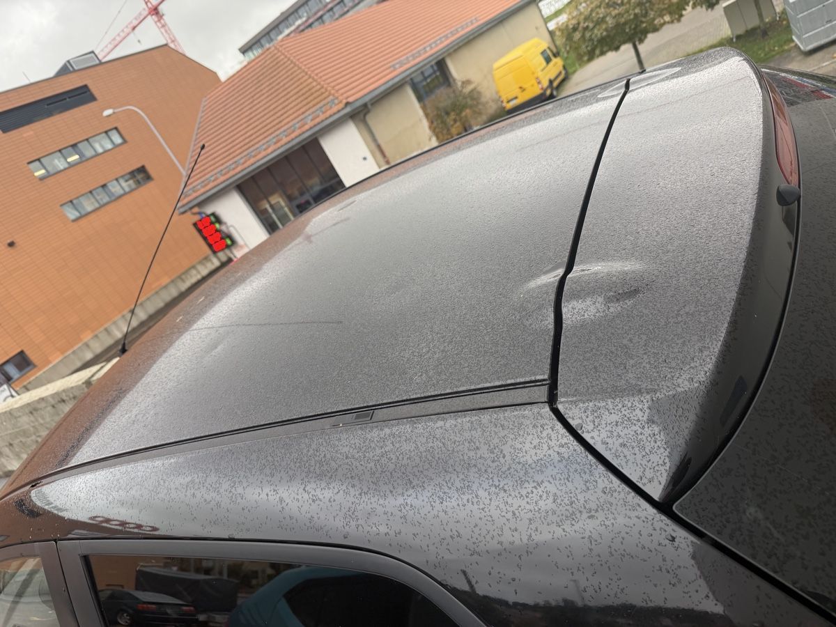 Mazda Autos: Mazda – Défectueux à La Chaux-de-Fonds par Transportchezmax 2