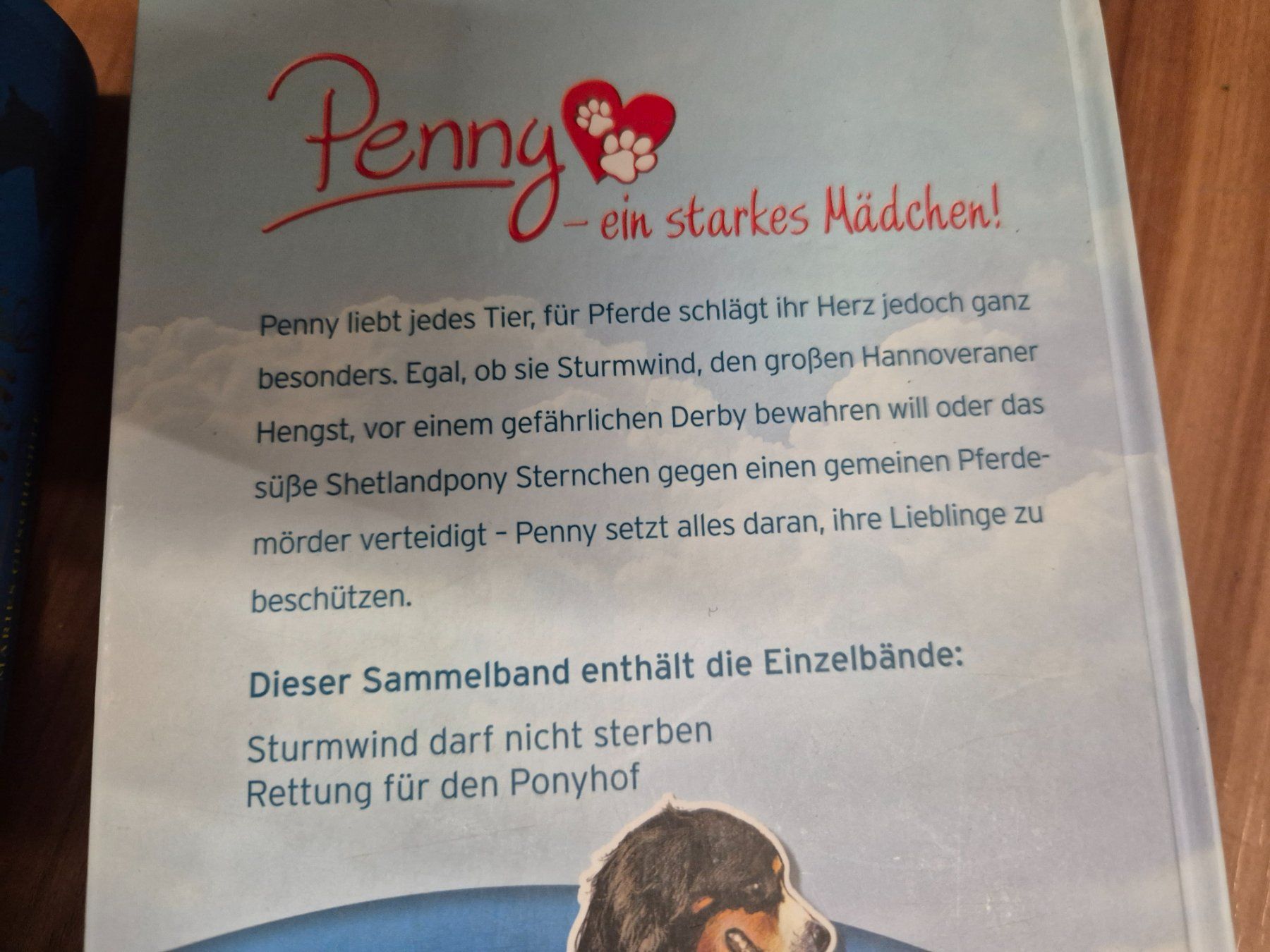 Libri: 4 Pferdebücher L20 – Usato da Schwarzenburg venduto da Flamingo07 2