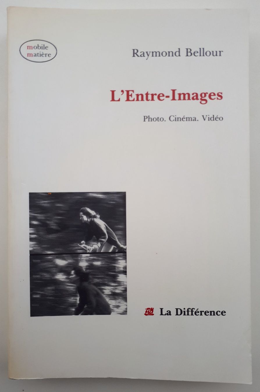 Bücher: Raymond Bellour - L' Entre-Images – Gebraucht aus Lausanne von LasloH