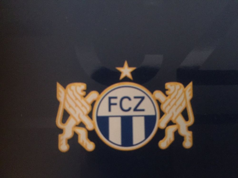 Zwei Tickets für FCZ - FC Basel 8.4.23 Südkurve | Kaufen auf Ricardo