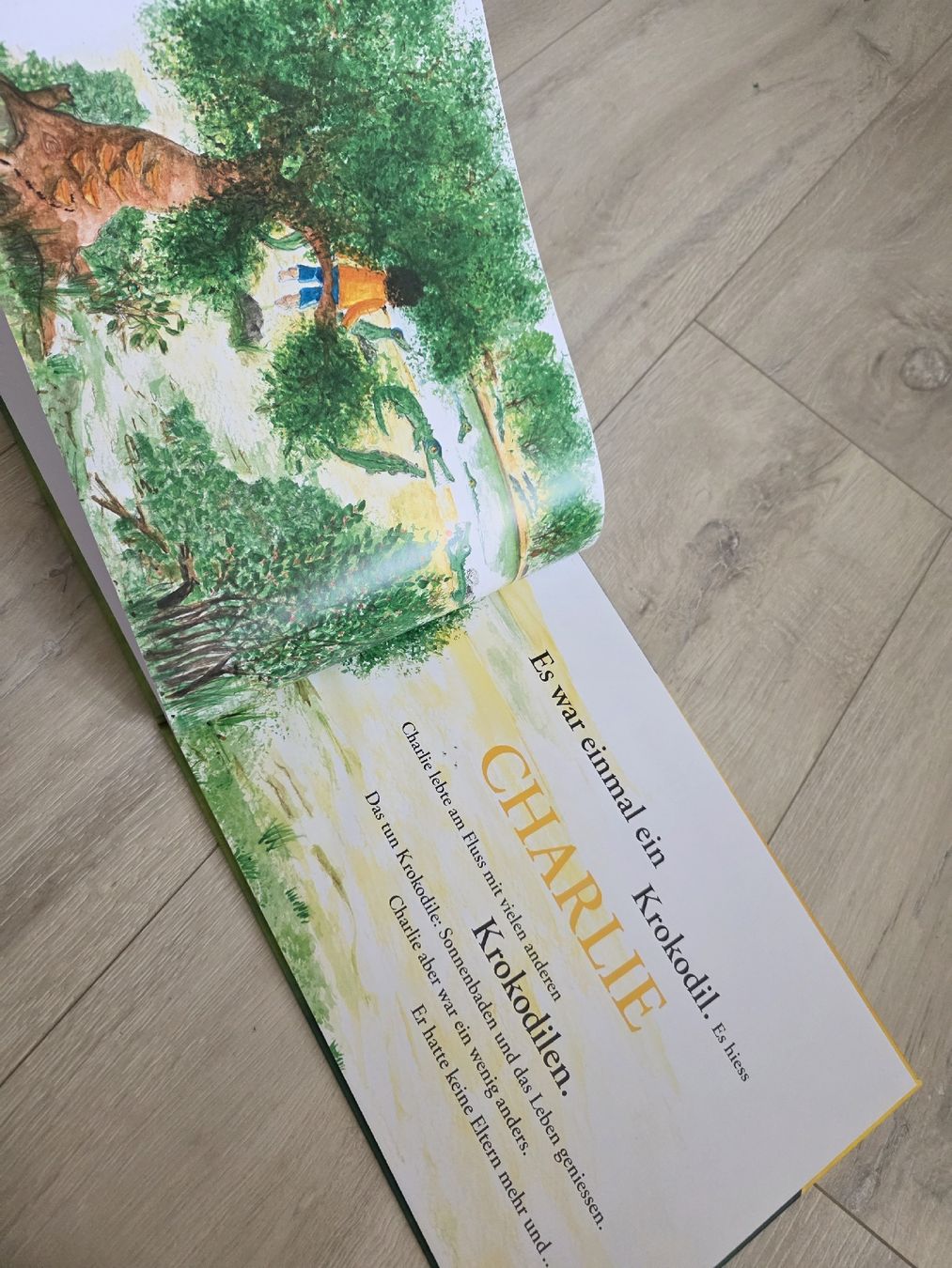 Libri: Kinderbuch "Charlie" von Elisabeth Neu – Nuovo (secondo la descrizione) da Wigoltingen venduto da Zuckerfee84 1