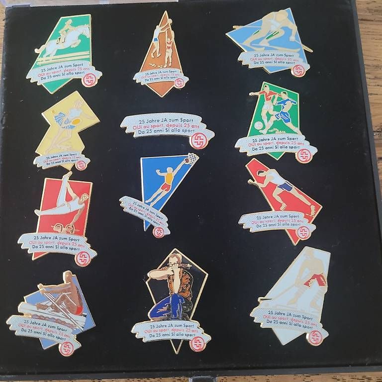 Placchette & Badge: Pins – Usato da Gossau SG venduto da Panni2000
