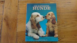die schönsten Hunde unbenutzt m. vielen Farbfotos