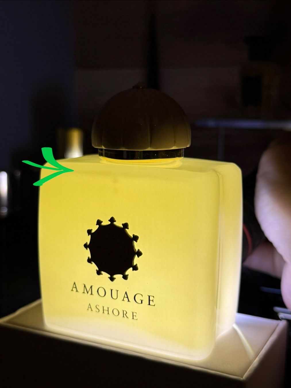 Amouage Profumi & Eau de Toilette: Amouage Ashore 100 ml – Nuovo (secondo la descrizione) da Ittigen venduto da iGeorgia 1