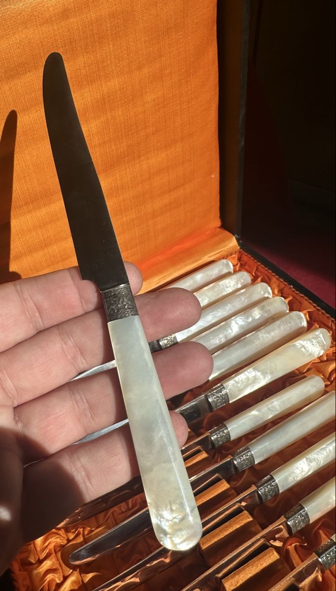 Posate: Messer Set E. Ceriani Arbon 12 Stück Perlmuttgriff✨Top – Usato da Zürich venduto da c_d_r 7