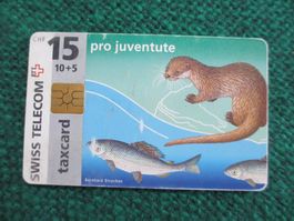 alte Swisscom Taxcard 1999 pro juventute mit Tierbild
