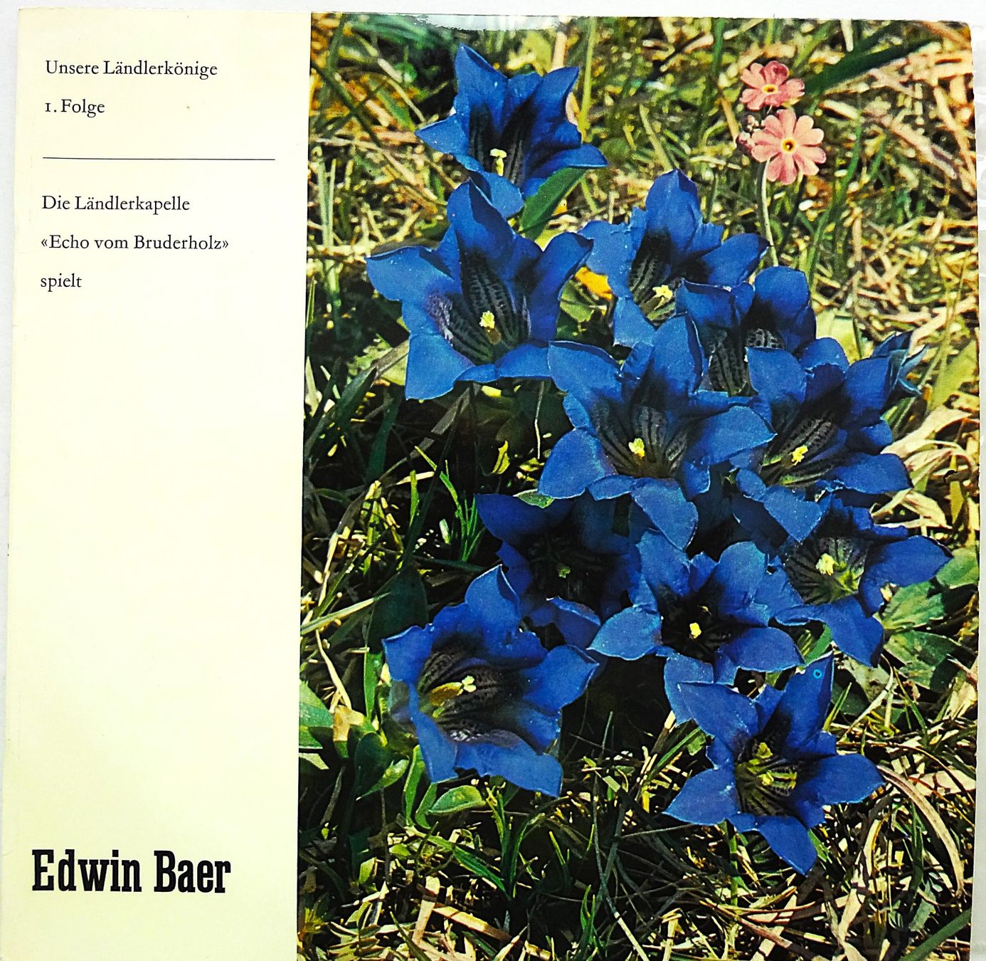 Dischi in vinile: 3 Stück 10'' LPs Ländlermusik – Usato da Hemishofen venduto da Phonomandy 4