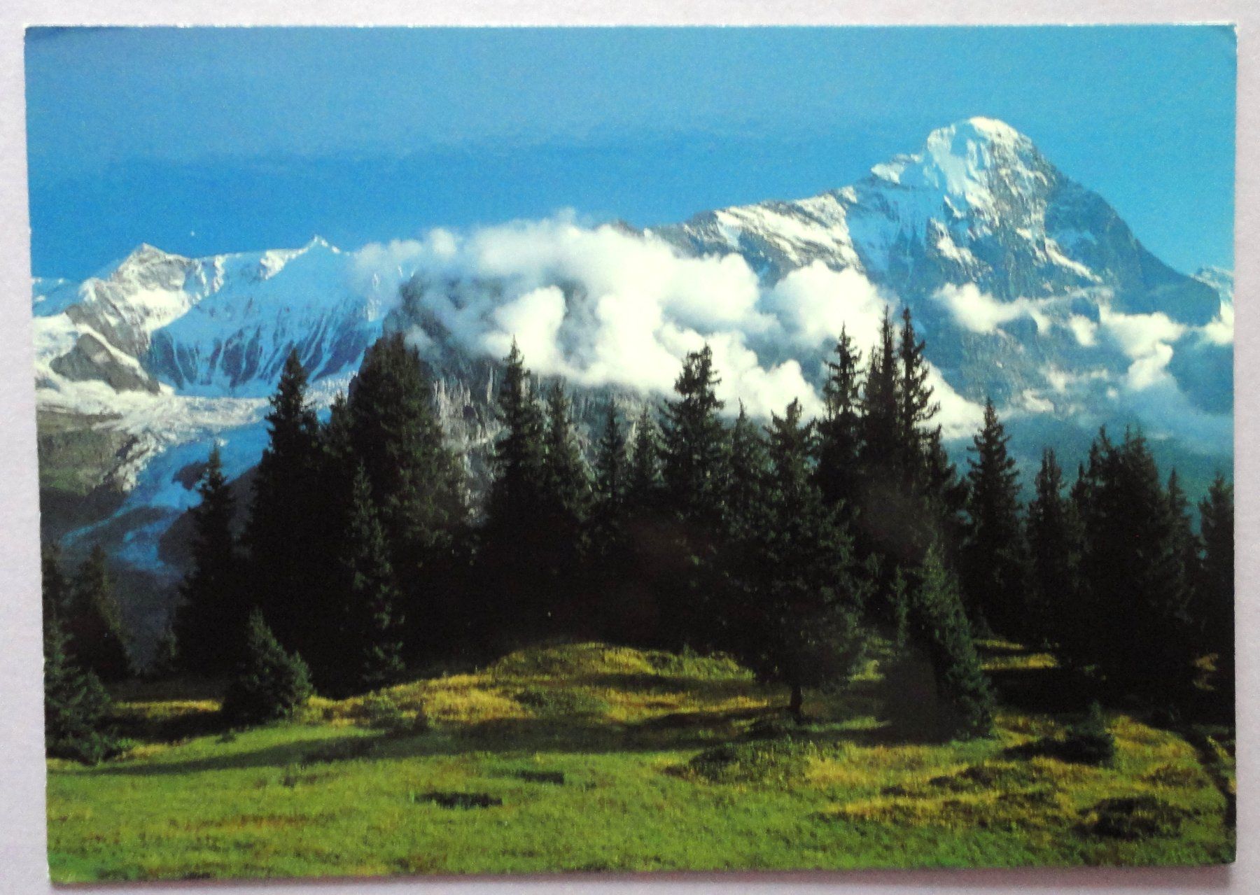 Cartoline postali: Grindelwald, Fiescherhörner, Eiger – Usato da Fétigny venduto da Billy2miny