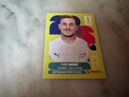 Panini FIFA Fussball WM 2026 Sticker Chris Wood NZL 17